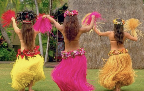 Hawaiian Culture is Not a Costume
