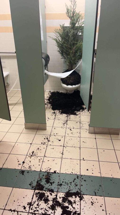 A Prank To Remember