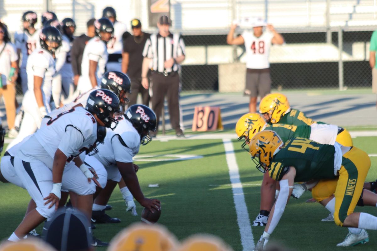 Bishop Manogue Varsity Football Goes Down Fighting