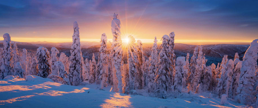 Winterfest Planning Problems